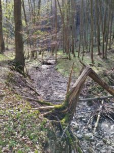 Nadzemní část potoku Špraňku prostě vyschla